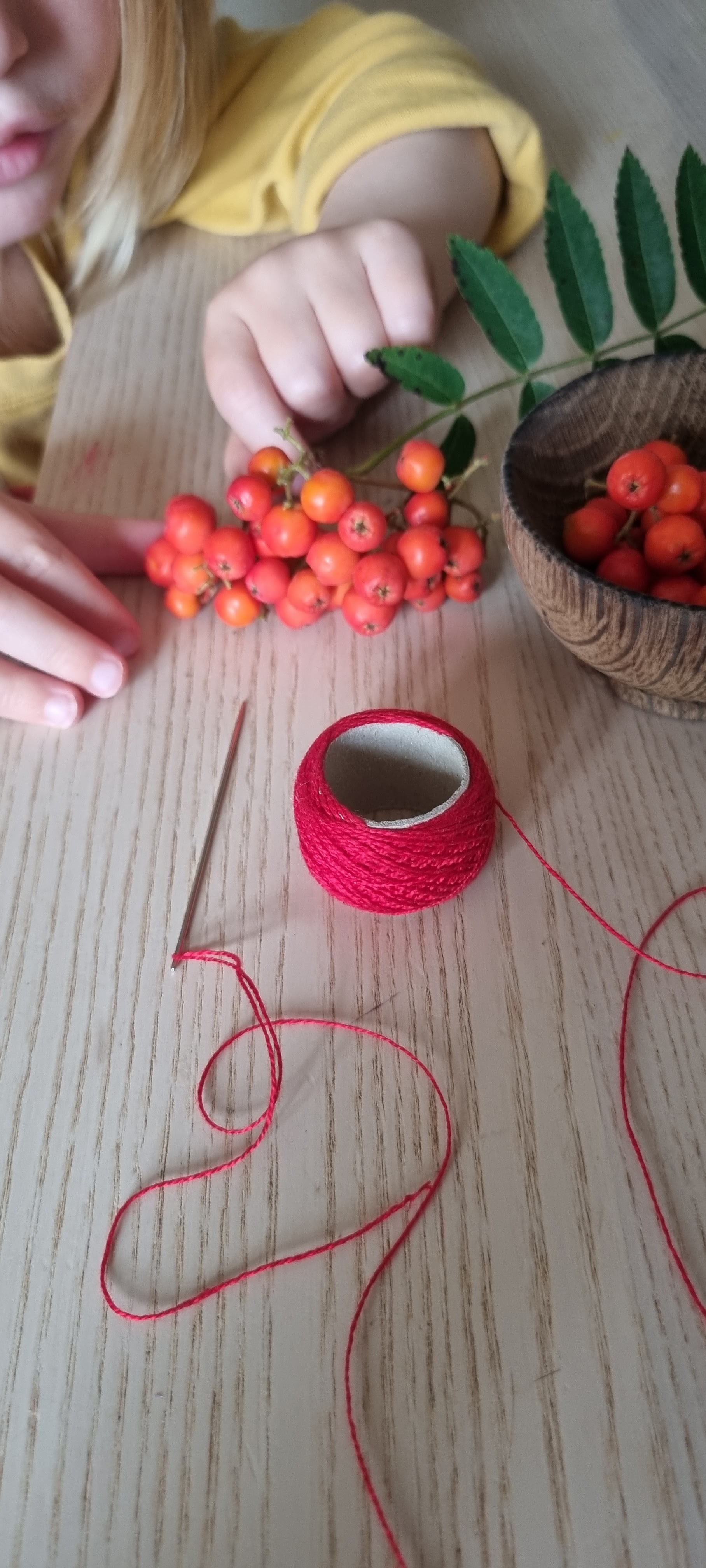 Needle, red thread and a bowl of rowan berries ready to begin