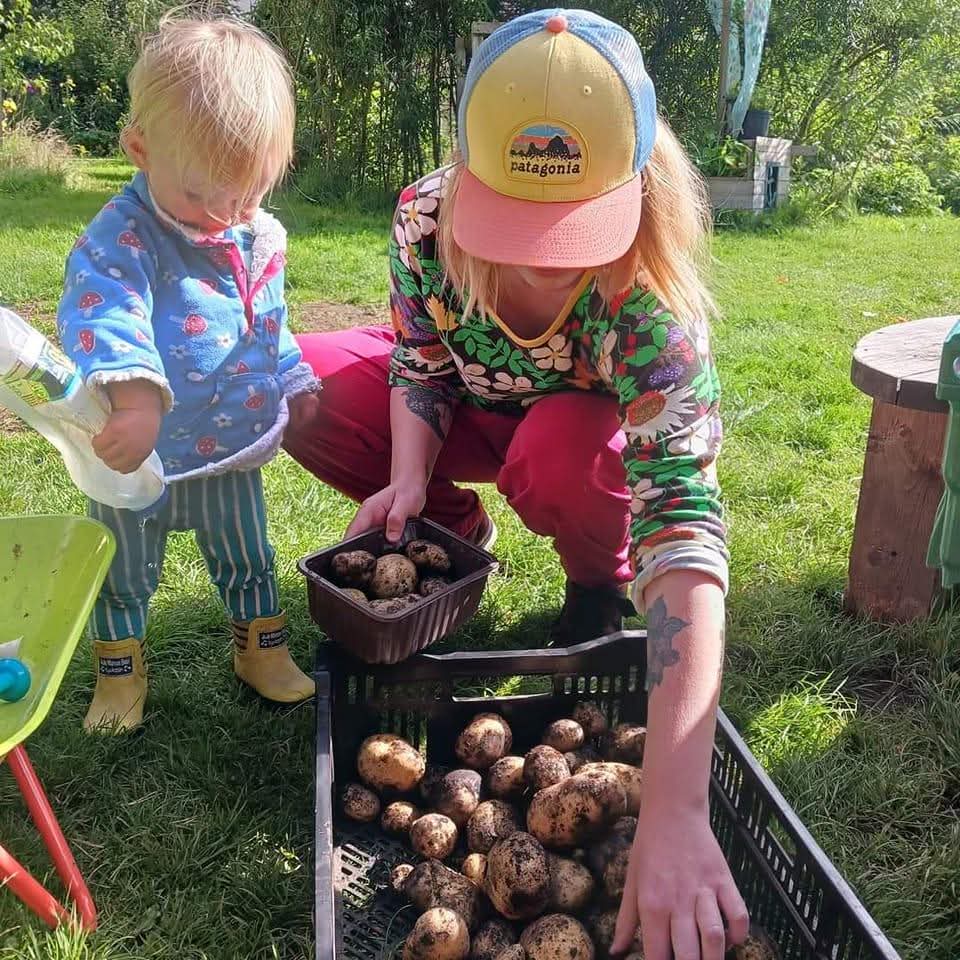 Katy harvesting potatoes in the garden with a young child
